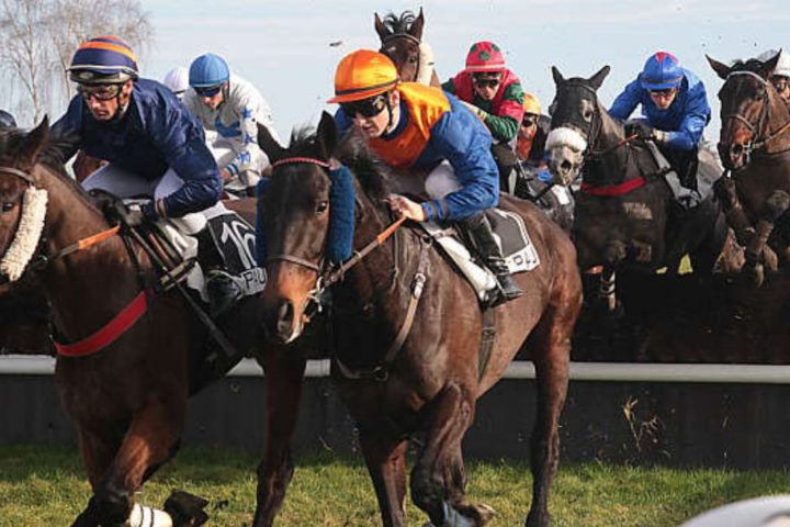 Quinté du mardi 16 décembre 2025 à Pau: les pronostics