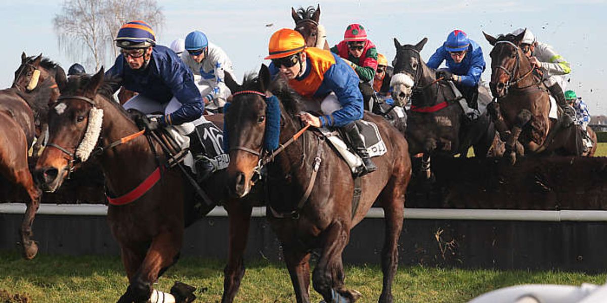 Quinté du mardi 16 décembre 2025 à Pau: les pronostics