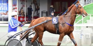 Quinté du mercredi 17 décembre 2025 à Vincennes: les pronostics