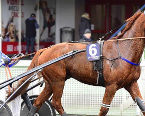 Quinté du mercredi 17 décembre 2025 à Vincennes: les pronostics