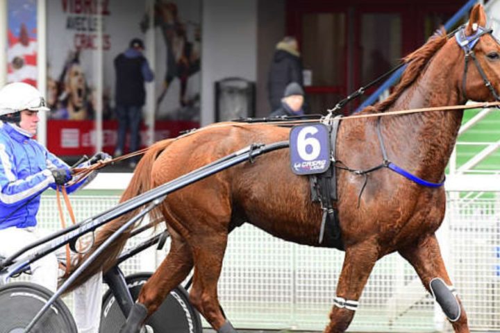 Quinté du mercredi 17 décembre 2025 à Vincennes: les pronostics