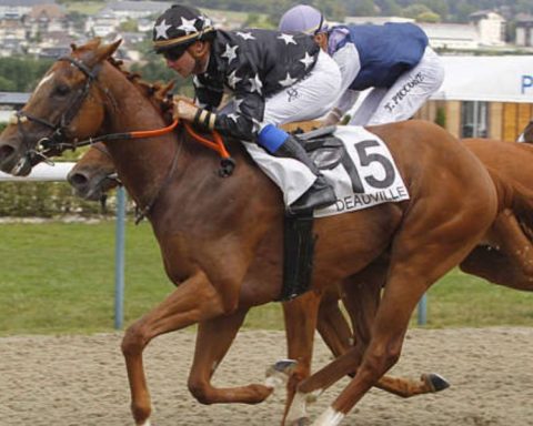 Quinté du jeudi 18 décembre 2025 à Deauville: les pronostics