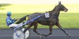 Quinté du vendredi 19 décembre 2025 à Vincennes: les pronostics