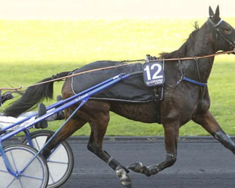 Quinté du vendredi 19 décembre 2025 à Vincennes: les pronostics