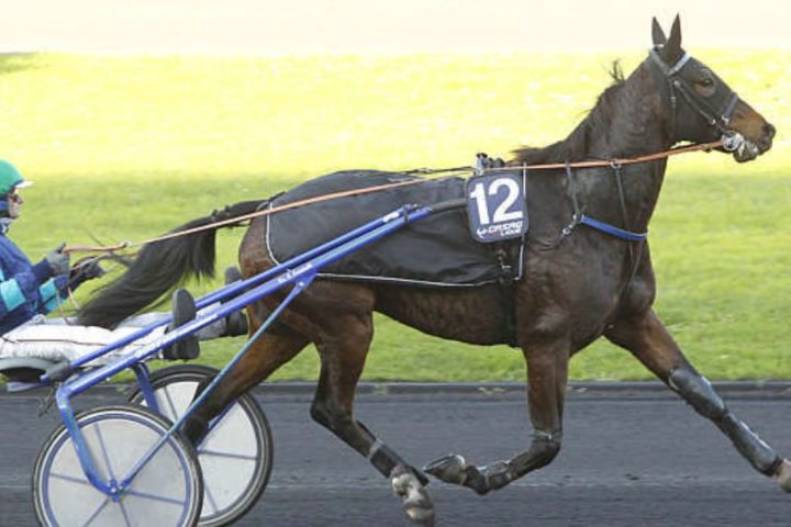 Quinté du vendredi 19 décembre 2025 à Vincennes: les pronostics