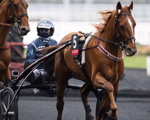 Quinté du samedi 20 décembre 2025 à Vincennes: les pronostics