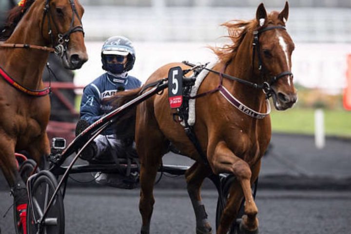 Quinté du samedi 20 décembre 2025 à Vincennes: les pronostics