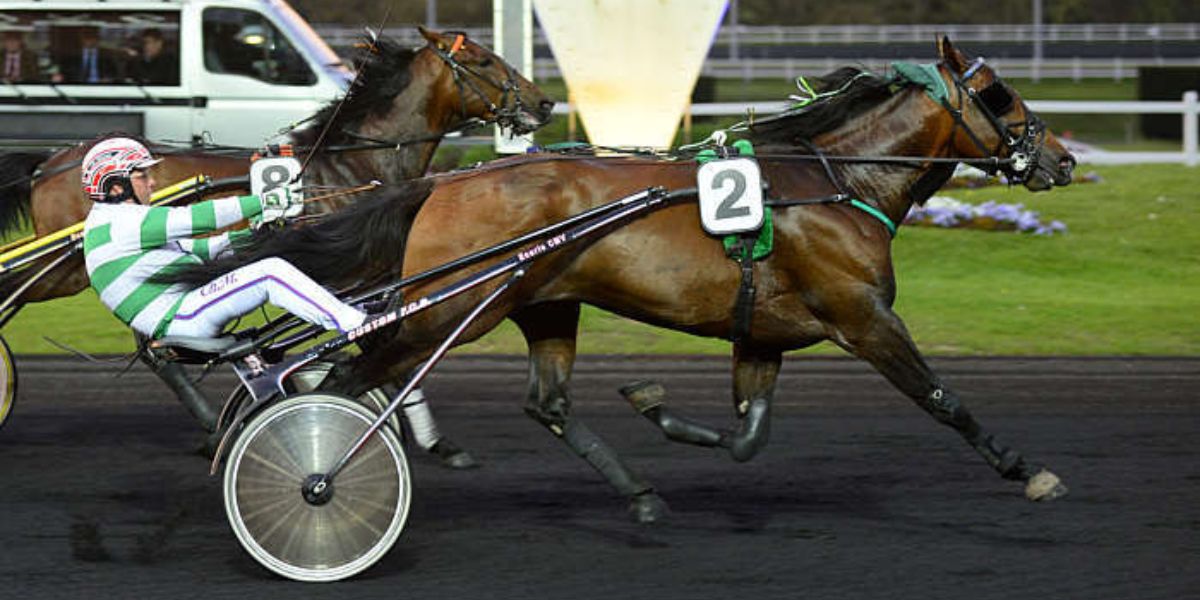 Quinté du dimanche 21 décembre 2025 à Vincennes: les pronostics