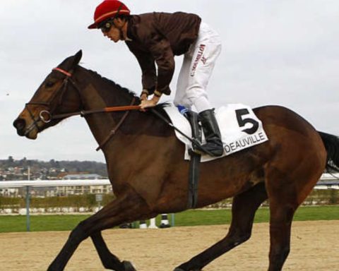 Quinté du lundi 22 décembre 2025 à Deauville: les pronostics