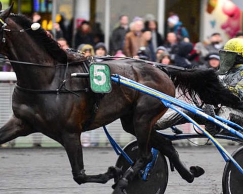 Quinté du mercredi 24 décembre 2025 à Vincennes: les pronostics