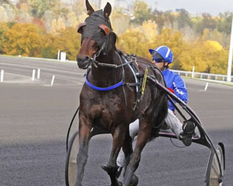 Quinté du jeudi 25 décembre 2025 à Vincennes: les pronostics