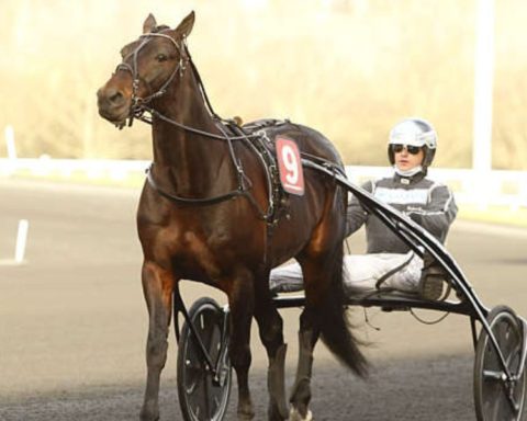 Quinté du vendredi 26 décembre 2025 à Vincennes: les pronostics