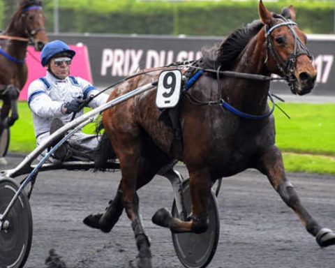 Quinté du samedi 27 décembre 2025 à Vincennes: les pronostics