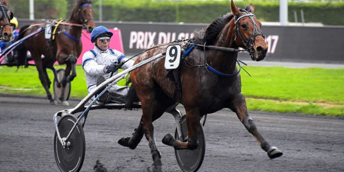 Quinté du samedi 27 décembre 2025 à Vincennes: les pronostics