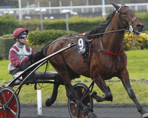 Quinté du dimanche 28 décembre 2025 à Vincennes: les pronostics