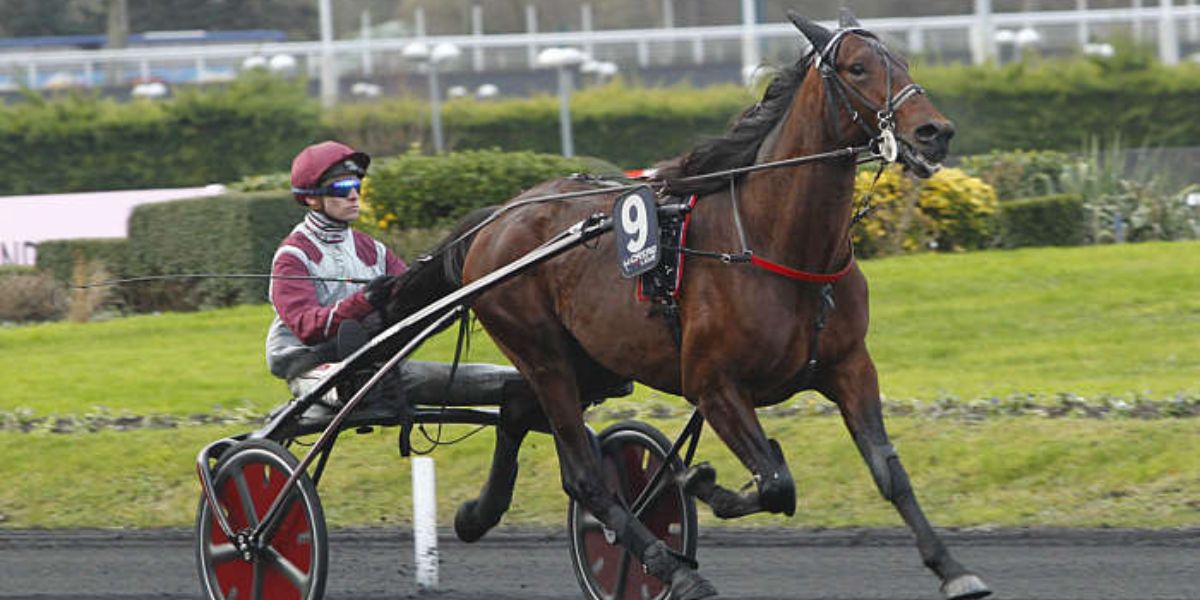 Quinté du dimanche 28 décembre 2025 à Vincennes: les pronostics
