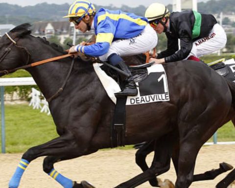 Quinté du mardi 30 décembre 2025 à Deauville: les pronostics