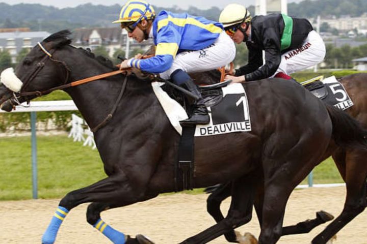 Quinté du mardi 30 décembre 2025 à Deauville: les pronostics