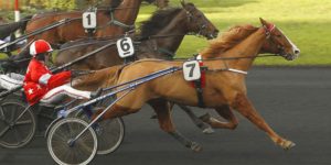 Quinté du mercredi 31 décembre 2025 à Vincennes: les pronostics