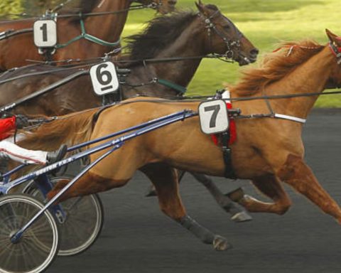 Quinté du mercredi 31 décembre 2025 à Vincennes: les pronostics