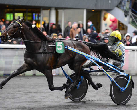 Quinté du samedi 6 décembre 2025 à Vincennes: les pronostics