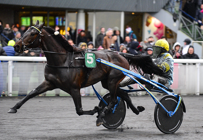 Quinté du samedi 6 décembre 2025 à Vincennes: les pronostics
