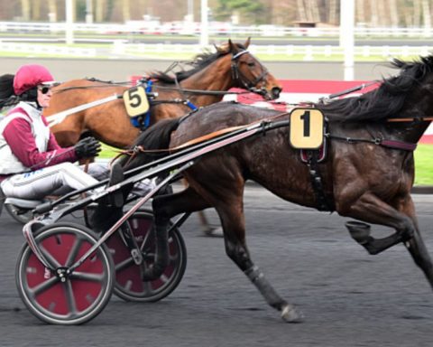 Quinté du vendredi 12 décembre 2025 à Vincennes: les pronostics