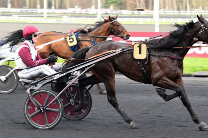 Quinté du vendredi 12 décembre 2025 à Vincennes: les pronostics