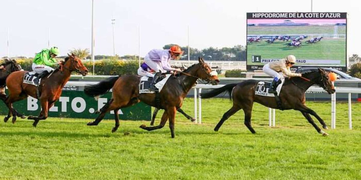 Quinté du lundi 2 février 2026 à Cagnes: les pronostics