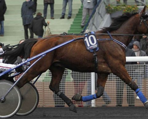 Quinté du dimanche 4 janvier 2026 à Vincennes: les pronostics