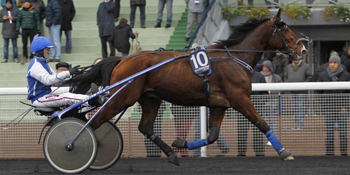 Quinté du dimanche 4 janvier 2026 à Vincennes: les pronostics