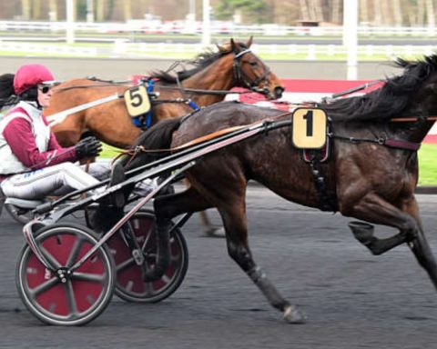 Quinté du lundi 5 janvier 2026 à Vincennes: les pronostics