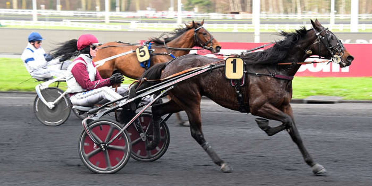 Quinté du lundi 5 janvier 2026 à Vincennes: les pronostics