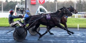 Quinté du mardi 6 janvier 2026 à Vincennes: les pronostics