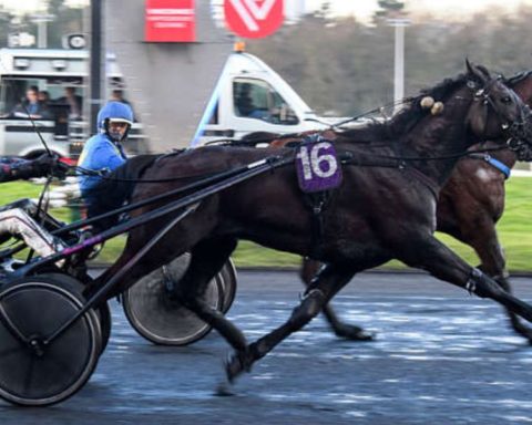 Quinté du mardi 6 janvier 2026 à Vincennes: les pronostics