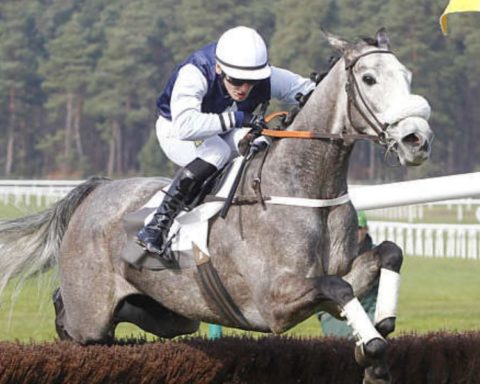 Quinté du mercredi 7 janvier 2026 à Pau: les pronostics