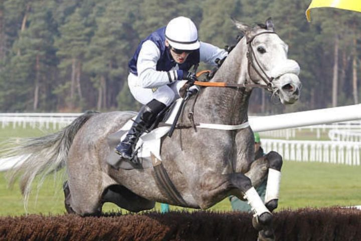 Quinté du mercredi 7 janvier 2026 à Pau: les pronostics