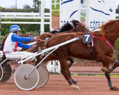 Quinté du jeudi 8 janvier 2026 à Cagnes: les pronostics