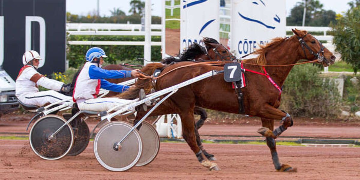 Quinté du jeudi 8 janvier 2026 à Cagnes: les pronostics