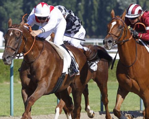 Quinté du vendredi 9 janvier 2026 à Deauville: les pronostics