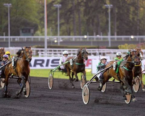 Quinté du samedi 10 janvier 2026 à Vincennes: les pronostics