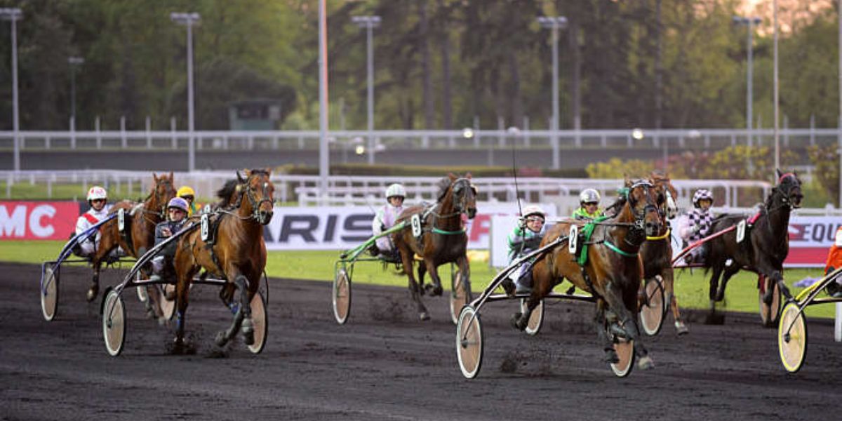 Quinté du samedi 10 janvier 2026 à Vincennes: les pronostics