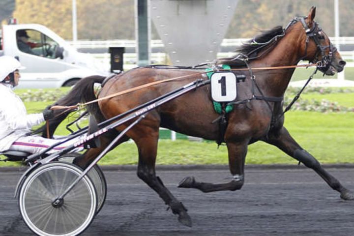 Quinté du dimanche 11 janvier 2026 à Vincennes: les pronostics