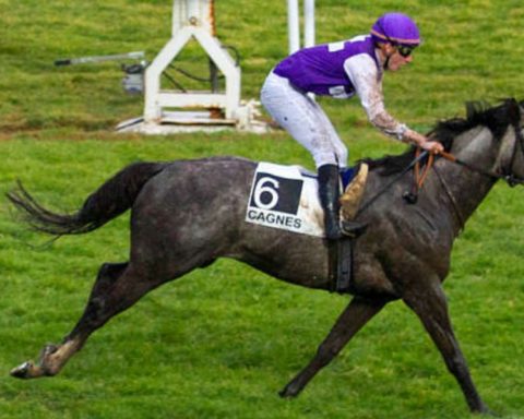 Quinté du lundi 12 janvier 2026 à Cagnes: les pronostics