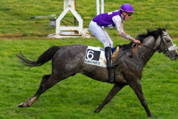 Quinté du lundi 12 janvier 2026 à Cagnes: les pronostics