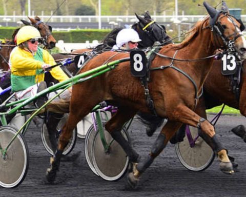 Quinté du mardi 13 janvier 2026 à Vincennes: les pronostics