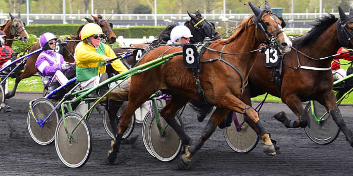 Quinté du mardi 13 janvier 2026 à Vincennes: les pronostics