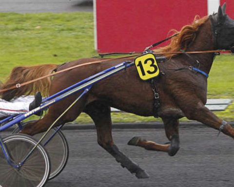 Quinté du jeudi 15 janvier 2026 à Vincennes: les pronostics