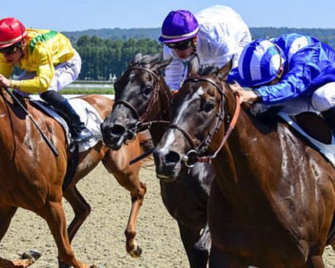 Quinté du vendredi 16 janvier 2026 à Deauville: les pronostics