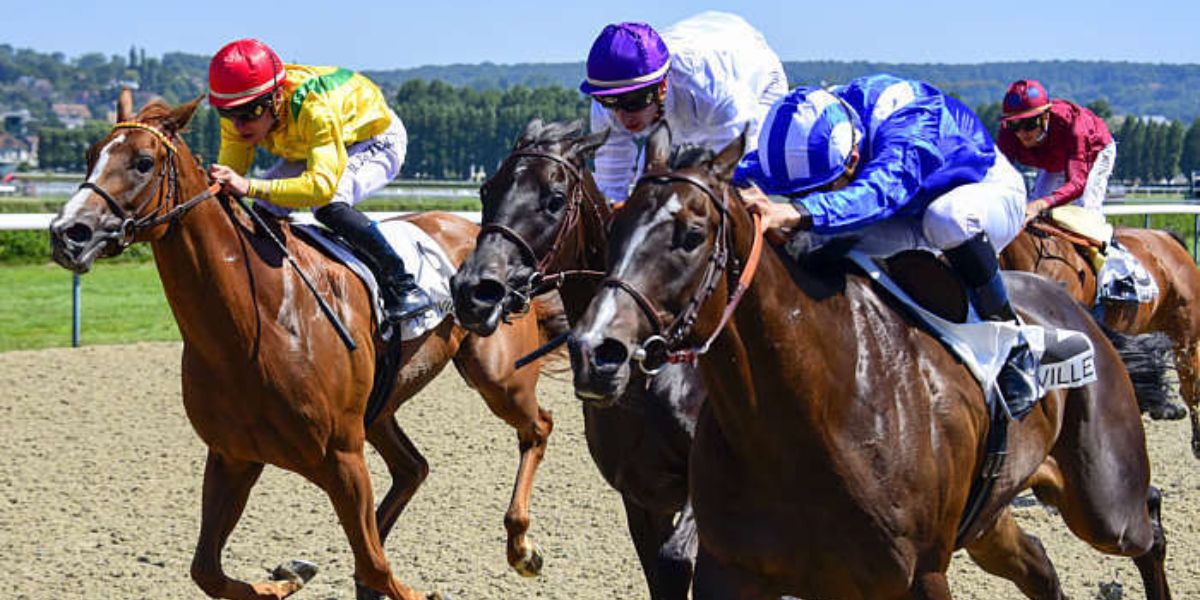 Quinté du vendredi 16 janvier 2026 à Deauville: les pronostics